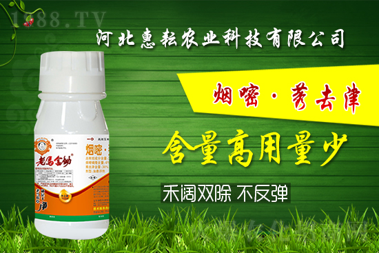 封殺雙效！禾闊通除！玉米田除草記住這個配方就夠了! 