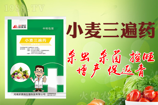 小麥巧打三遍藥抗病增產(chǎn)有奇效！小麥三遍藥什么時候打？