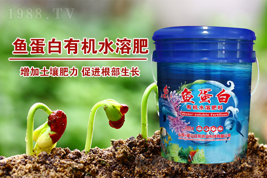 魚(yú)蛋白肥增產(chǎn)效果驚人!70%人不知道的內(nèi)幕曝光