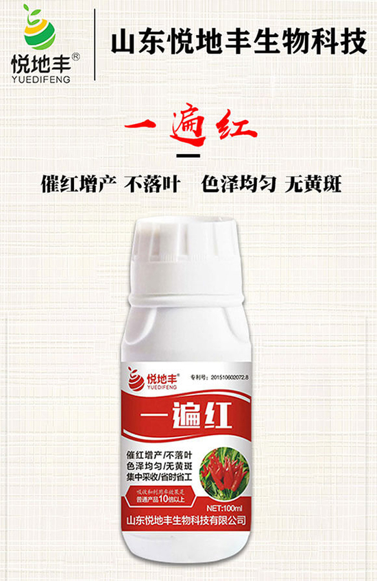 辣椒催紅措施怎么做?辣椒如何提前上市?辣椒催紅藥什么時候打好?