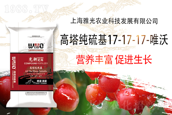 今日復(fù)合肥價格行情走勢2022年4月21日