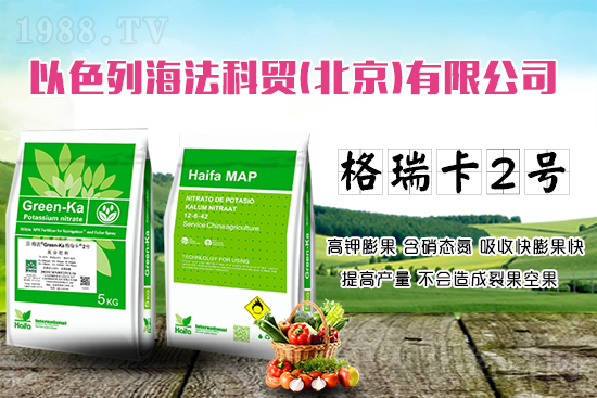 果蔬膨果增產(chǎn)的秘密！杜絕裂果空果，以色列原裝進(jìn)口，配方萬里挑一！