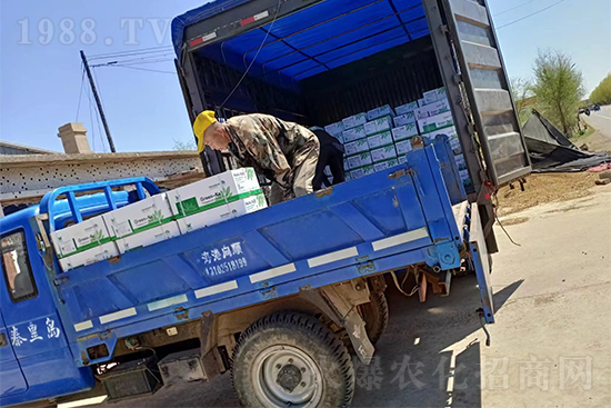 暢銷爆品！實(shí)力廠家！格瑞卡2號發(fā)貨不停歇