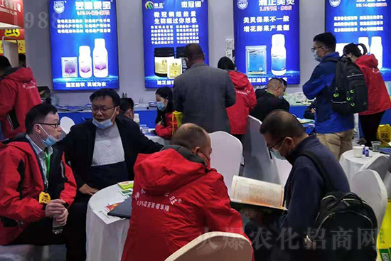 植物病毒病的“克星”!速殺蚜蟲白粉虱,,持效期長達40天!