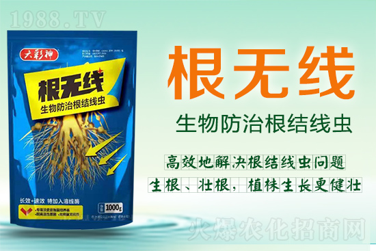 根結(jié)線蟲殺死容易殺絕難!這樣防治效果好到驚人!