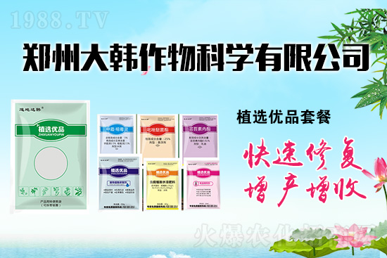 作物藥害肥害頻發(fā)怎么辦?發(fā)生藥害肥害如何補救?