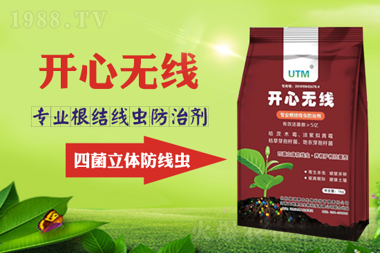 根結(jié)線蟲(chóng)危害大?線蟲(chóng)防治意見(jiàn)匯總!