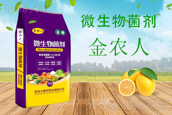 ��Ͽ�ή��Σ��������ô��Ч���Σ�