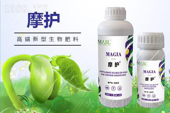 黃瓜苗期管理，需要注意哪些問題？