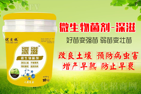 作物如何爆發(fā)式生根呢？生根養(yǎng)根方案快來看！