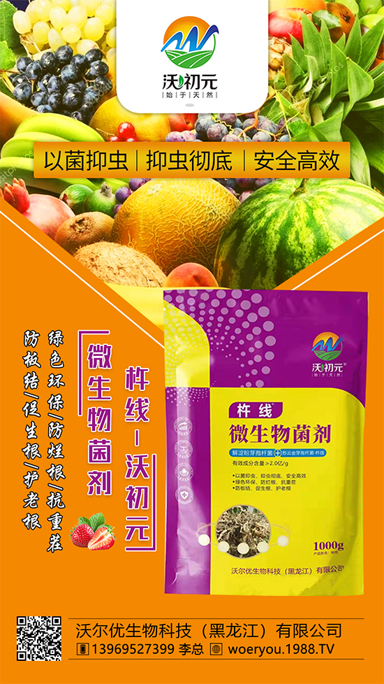 ����ĸ�ϵ���Q������Įa(ch��n)��