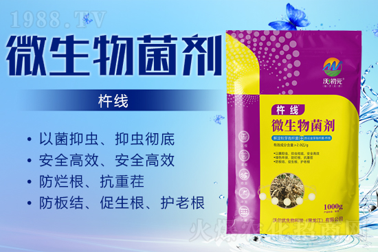 ����ĸ�ϵ���Q������Įa(ch��n)��