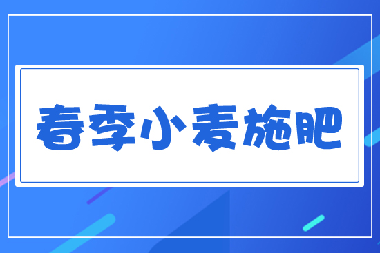 ����С��ʩ��