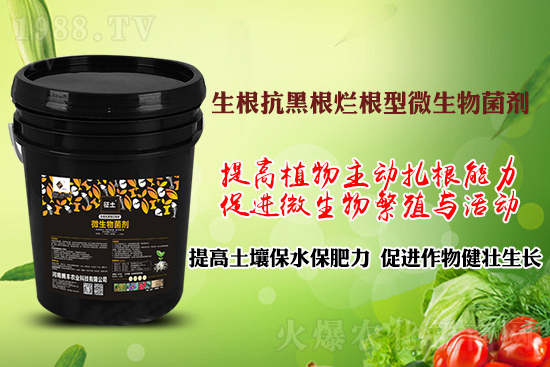 作物黑根爛根、黃苗弱苗頻發(fā)？用“它”輕松解決！百萬(wàn)種植戶(hù)都在用！