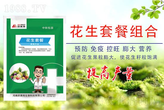 花生要高產(chǎn)，施肥有訣竅