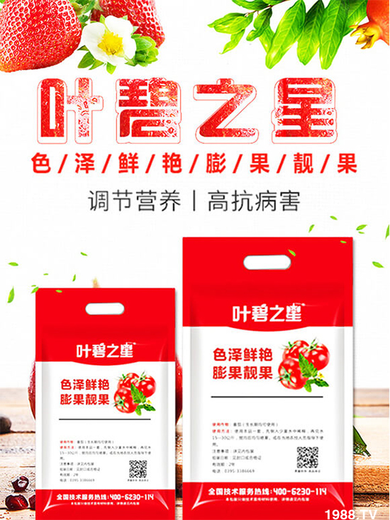 番茄開花少產量低怎么辦?牢記這幾點,番茄坐果不用愁!