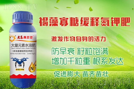 大蒜高產(chǎn)收益高，蒜頭膨大措施有哪些？如何施肥