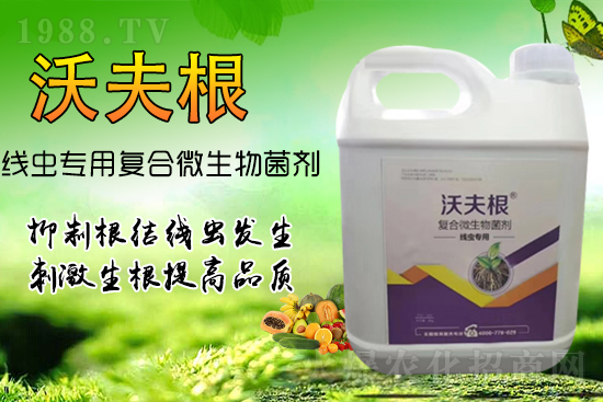 根結(jié)線蟲侵染作物根部?教你幾招,不反彈效果更!