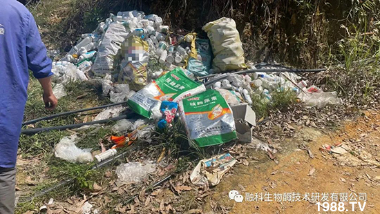 走進(jìn)田間地頭,助力柑橘產(chǎn)業(yè)