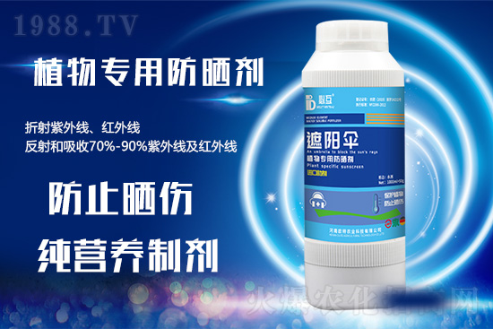 �ߜ������u������������E�[���쿴�������ˆ�? 