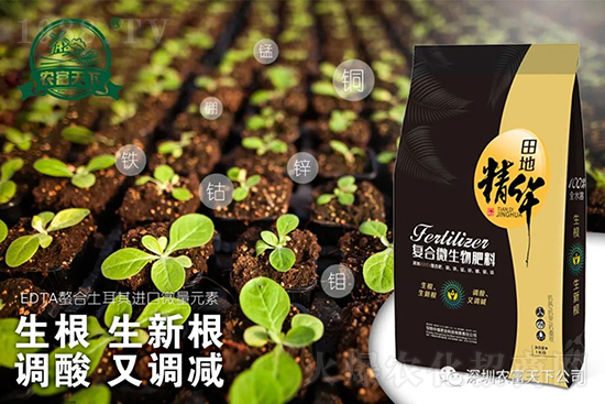 西瓜裂瓜怎么預防？了解這些西瓜滾滾品質高！