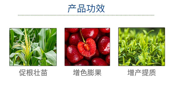 田博士集團有限公司（873702）_03