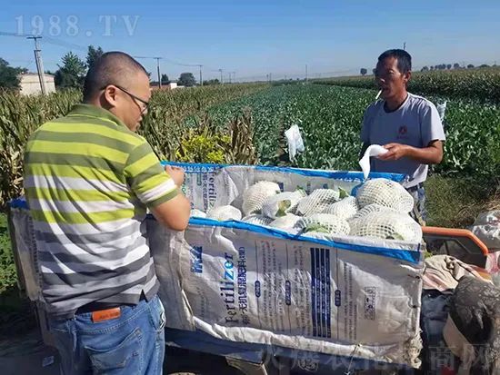 這款糖蜜肥農(nóng)資圈瘋傳!原料天然,低成本高肥效開創(chuàng)者!