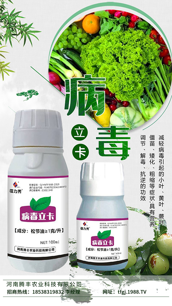 病毒病一種是由植物病毒寄生引起的病害。種類少、危害大,易得難治。在侵染蔬菜植株后會與蔬菜爭奪生長必需的養(yǎng)分,同時(shí)會影響植株的養(yǎng)分傳輸,抑制光合作用的進(jìn)行