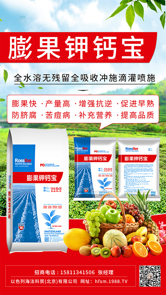 柑橘進(jìn)入膨大期，如何提升“顏值”？這個方案值得擁有！