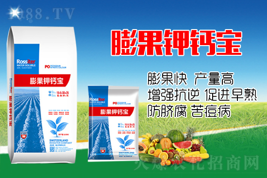 柑橘進(jìn)入膨大期，如何提升“顏值”？這個方案值得擁有！