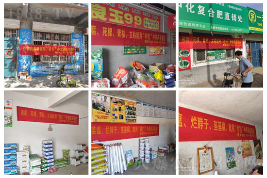 “植物癌癥-病毒病”被攻克了！純中草藥“殺菌霸主”