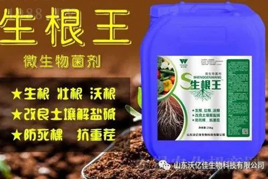 作物重茬、爛根死棵嚴重啥原因?如何改善這些難題?