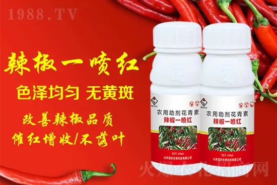 辣椒催紅增收專利產(chǎn)品!自然增紅零激素,色澤勻無(wú)黃斑