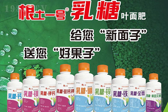 獼猴桃需肥特點(diǎn)有哪些？獼猴桃膨大肥怎么施