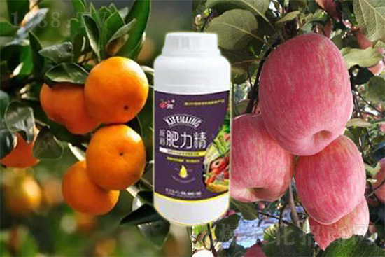 玉米追肥復(fù)合肥好還是尿素好?很多人都錯(cuò)了!它才是正確選擇