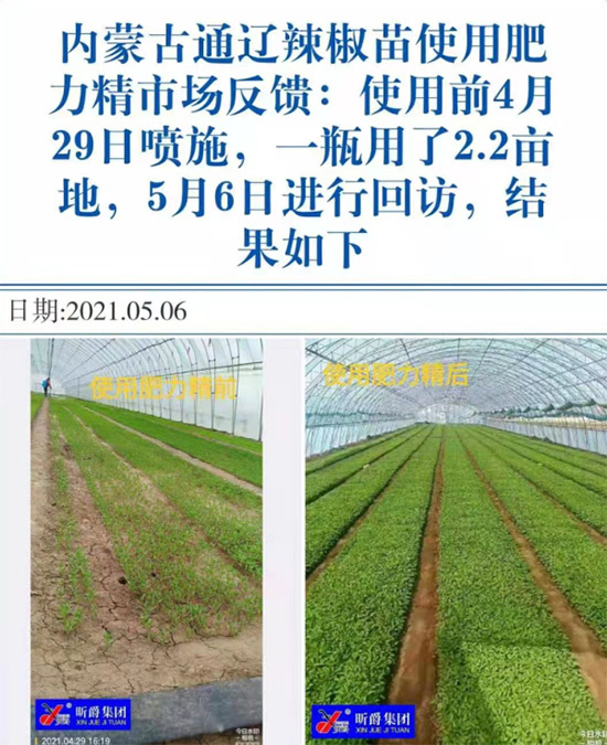 玉米追肥復(fù)合肥好還是尿素好?很多人都錯(cuò)了!它才是正確選擇