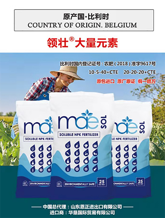 交500頂2000,高端進(jìn)口肥“性價(jià)比霸主”