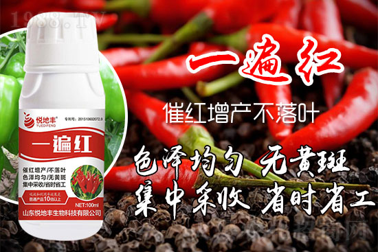 辣椒為什么要增紅？辣椒增紅上色哪個牌子好？