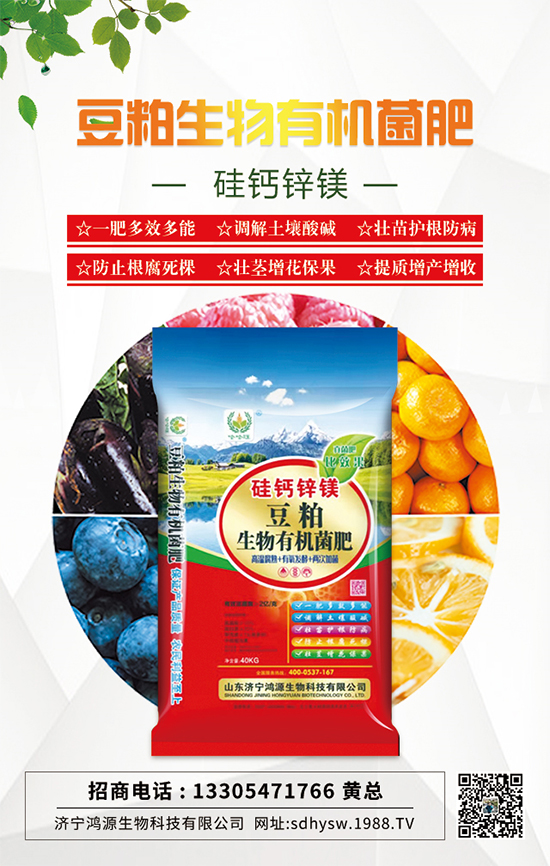 作物出現(xiàn)根腐死棵怎么辦?掌握這一招輕松解決!