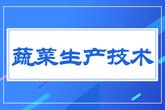 �߲����a���g