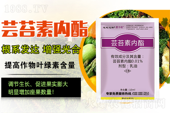 蕓苔素內(nèi)酯為啥被稱為植物救命藥?蕓苔素內(nèi)酯怎么選?