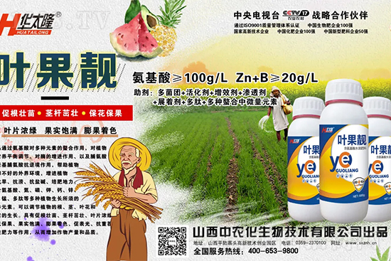 蘋(píng)果果個(gè)小是什么原因?解決對(duì)策有哪些?