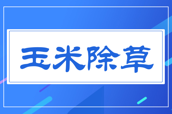 ���׳���