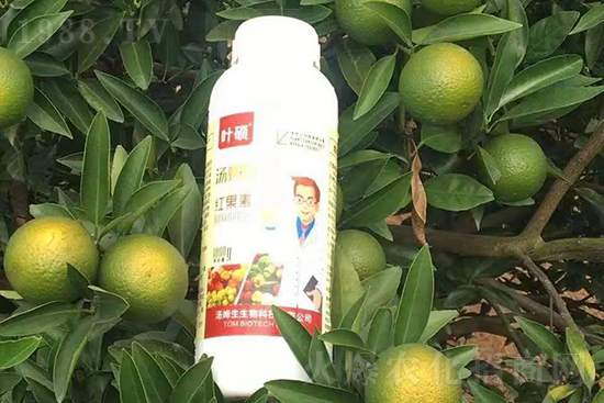 紅果素—只為轉(zhuǎn)色而生!轉(zhuǎn)色快、高,催紅不用愁!