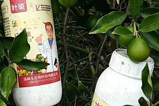 紅果素—只為轉(zhuǎn)色而生!轉(zhuǎn)色快、高,催紅不用愁!