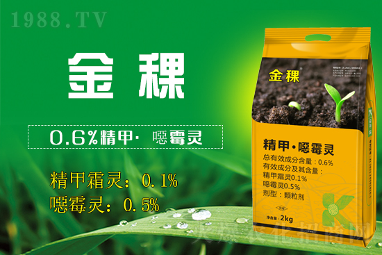 ���ս���������v1988.TV���_���W(w��ng)�j(lu��)������������