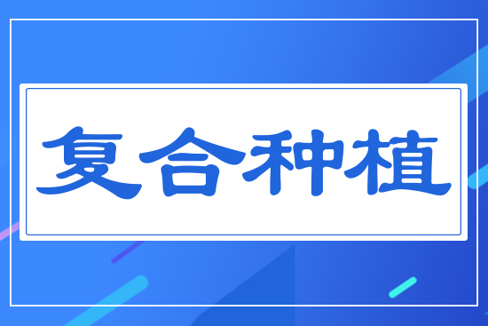 大豆玉米帶狀復(fù)合種植