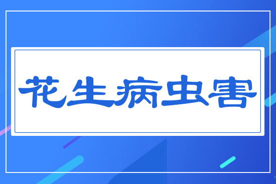 花生病蟲(chóng)害