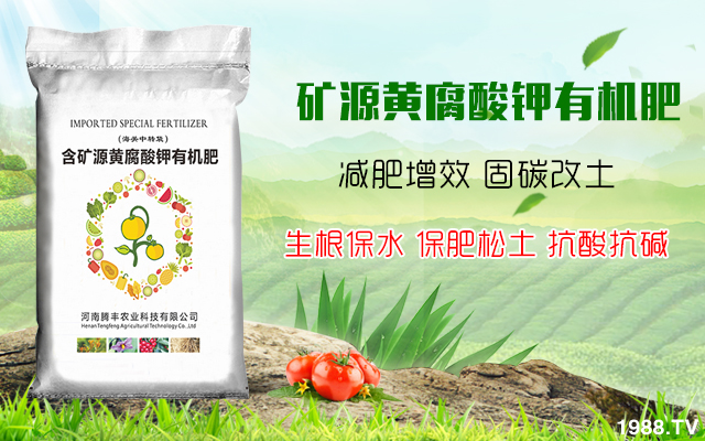 �v�S�r�I(y��)