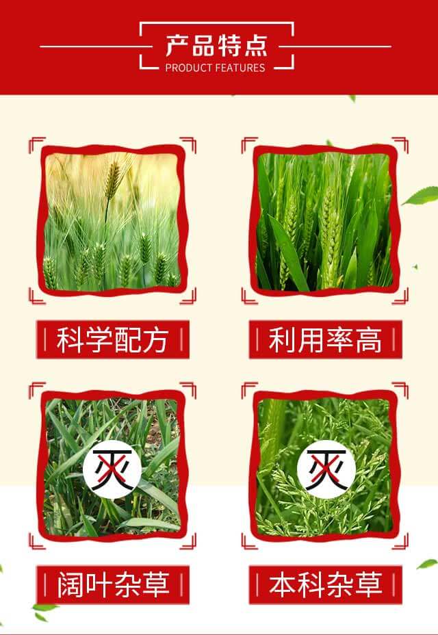 麥恬鏡-豐收樂_03